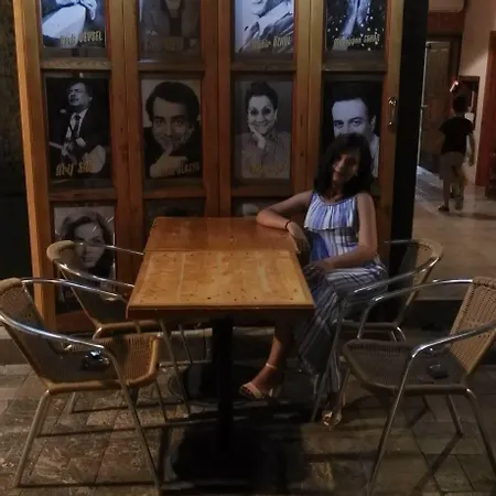 Ξενοδοχείο Wood House 3*