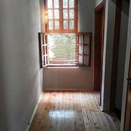 Hotel Wood House 3*