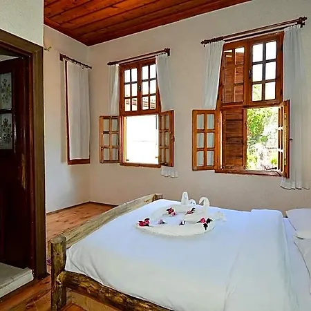 Hotel Wood House 3*