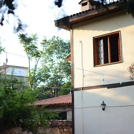 Hotel Wood House 3*