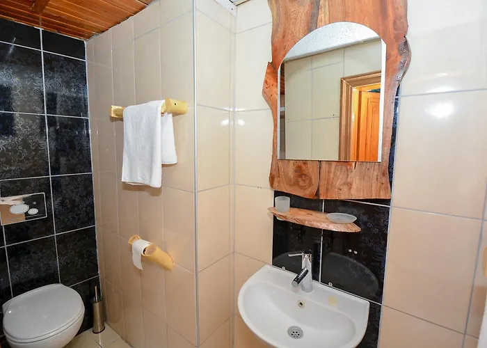 Wood House Hotel 3*