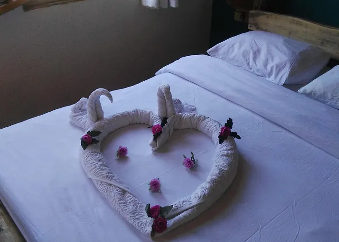Hotel Wood House 3*