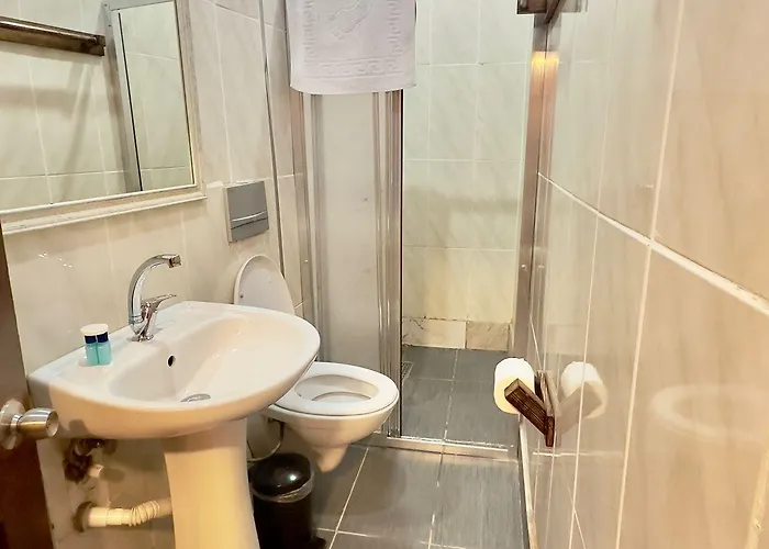 Wood House Hotel 3*