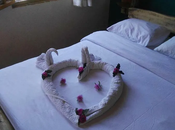 Hotel Wood House 3*